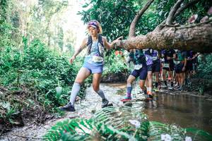 BIB: 
                            <button type="button" onclick="openModal(25468262)" class="btn btn-primary btn-sm float-right btn-popup" data-toggle="modal" data-target=".modal-high-quality">
                        <i class="fas fa-shopping-cart"></i> Add to Cart
                    </button>
                                            <button type="button" onclick="isThisMe(25468262, true)" class="btn btn-success btn-sm float-right btn-popup btn-isme hidden" data-toggle="tooltip" data-placement="bottom" title="นี่คือรูปของคุณใช่ไหม คลิกที่นี่เพื่อเอาเข้าอัลบั้ม">
                        <i class="fas fa-plus"></i> Add to album
                    </button>
                    <button type="button" onclick="isThisMe(25468262, false)" class="btn btn-warning btn-sm float-right btn-popup btn-isnotme hidden">
                        <i class="fas fa-ban"></i> Remove from album
                    </button>